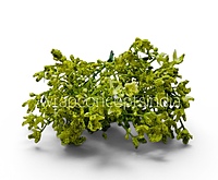 Spring Greens (Set of 2)