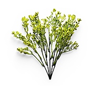 Spring Greens (Set of 2)