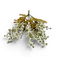 Snow Frosted Fern (Set of 2)