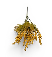 Snow Frosted Fern (Set of 2)