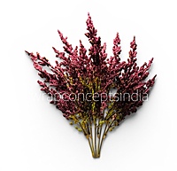 Frosted Elegance Stems (Set of 2)