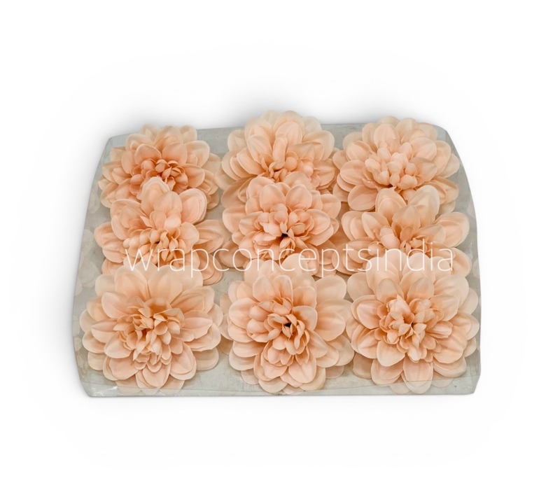 Peach Bloom Dahlia (20 pcs)