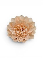 Peach Bloom Dahlia (20 pcs)