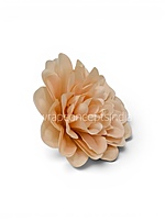 Peach Bloom Dahlia (20 pcs)