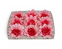 Cotton Candy Dahlia (20 pcs)