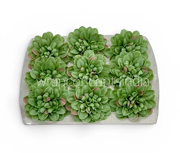 Sage Meadow Dahlia (20 pcs)