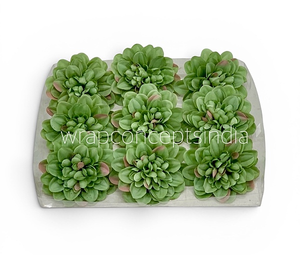Sage Meadow Dahlia (20 pcs)