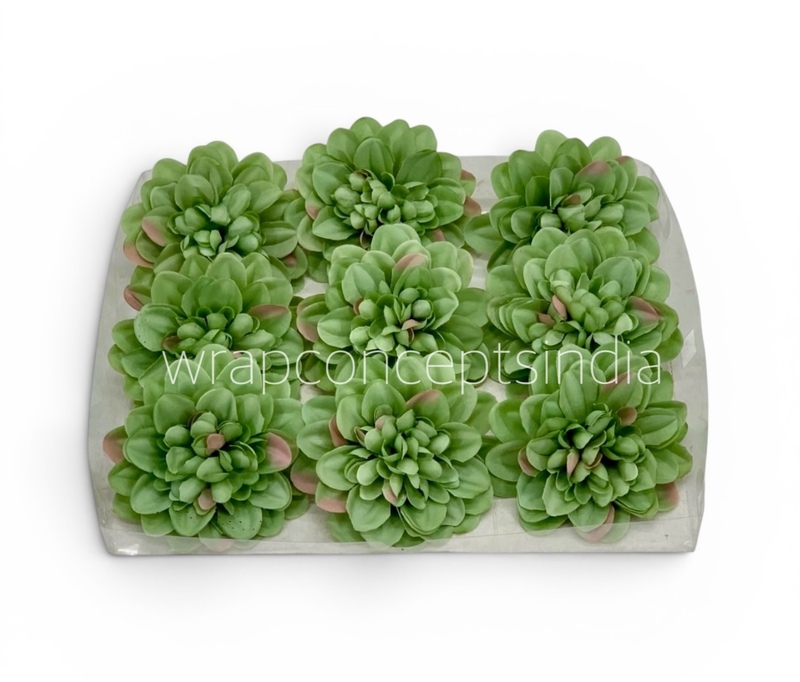 Sage Meadow Dahlia (20 pcs)