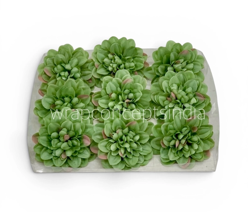Sage Meadow Dahlia (20 pcs)