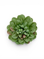Sage Meadow Dahlia (20 pcs)