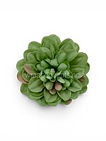 Sage Meadow Dahlia (20 pcs)