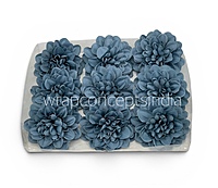 Midnight Teal Dahlia (20 pcs)