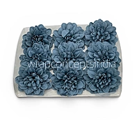 Midnight Teal Dahlia (20 pcs)