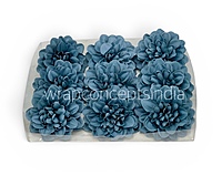 Midnight Teal Dahlia (20 pcs)