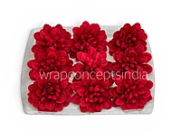 Royal Red Dahlia (20 pcs)