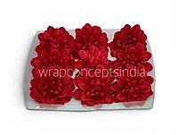 Royal Red Dahlia (20 pcs)
