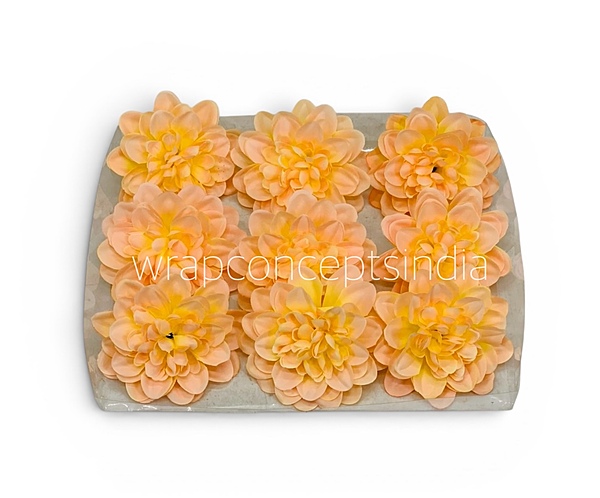 Golden Peach Dahlia (20 pcs)