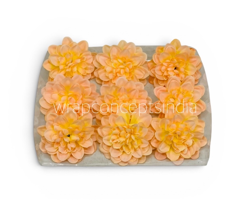 Golden Peach Dahlia (20 pcs)