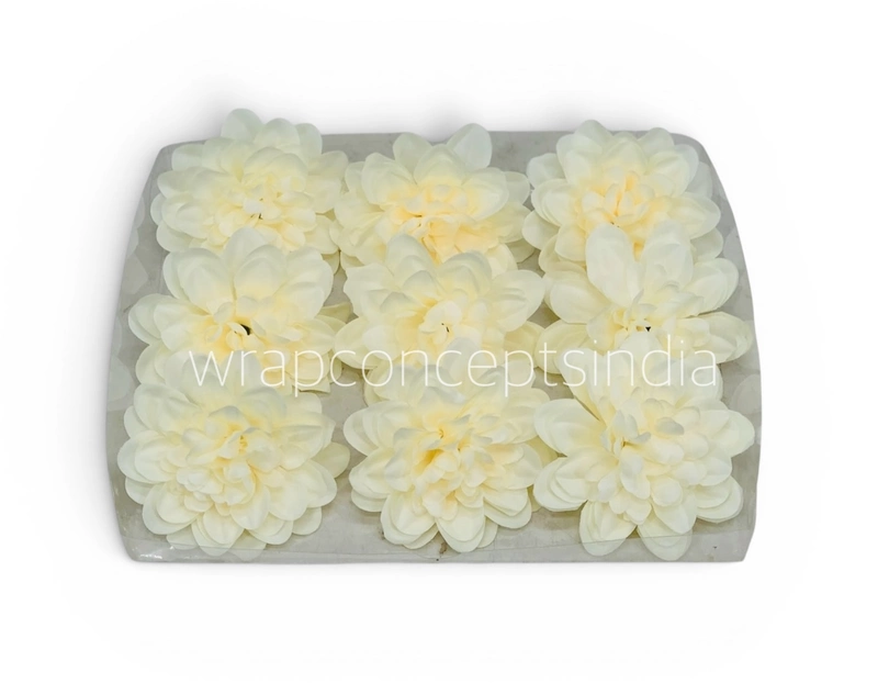 Vanilla Cream Dahlia (20 pcs)