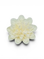Vanilla Cream Dahlia (20 pcs)