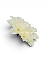 Vanilla Cream Dahlia (20 pcs)