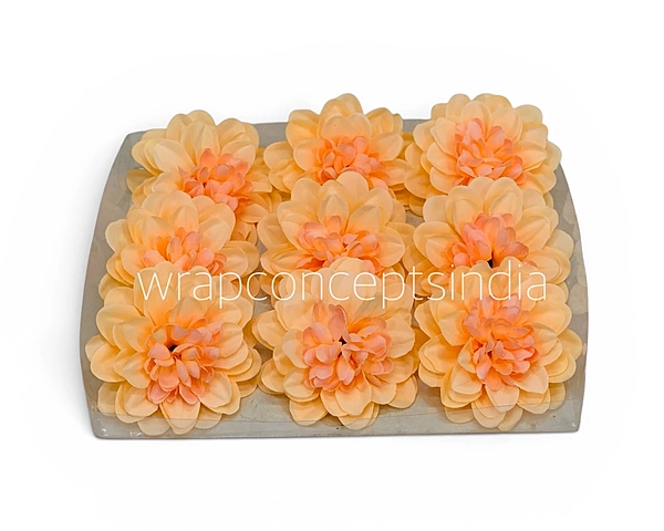 Buttercream Peach Dahlia (20 pcs)