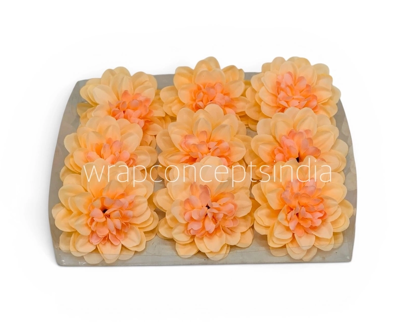 Buttercream Peach Dahlia (20 pcs)