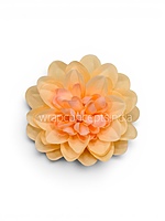 Buttercream Peach Dahlia (20 pcs)