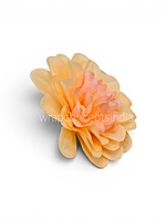 Buttercream Peach Dahlia (20 pcs)