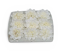 Pearl White Dahlia (20 pcs)