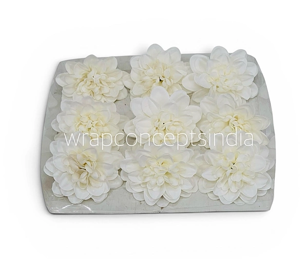 Pearl White Dahlia (20 pcs)