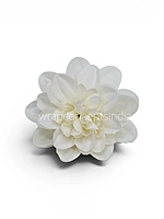Pearl White Dahlia (20 pcs)