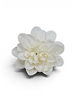 Pearl White Dahlia (20 pcs)