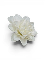 Pearl White Dahlia (20 pcs)