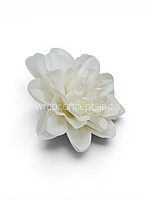 Pearl White Dahlia (20 pcs)