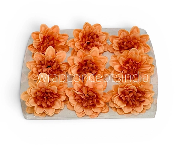 Burnt Peach Dahlia (20 pcs)