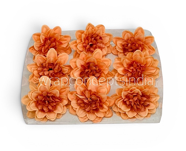 Burnt Peach Dahlia (20 pcs)