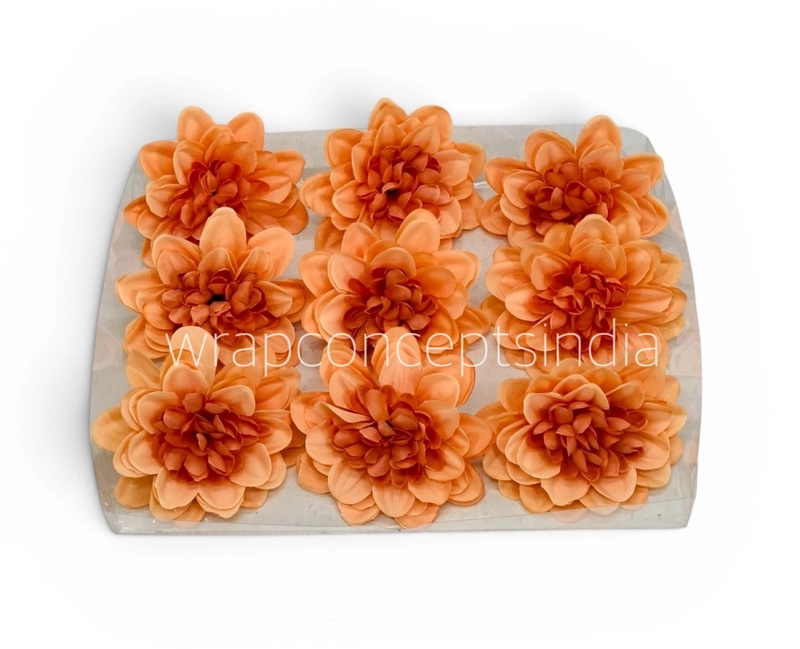 Burnt Peach Dahlia (20 pcs)