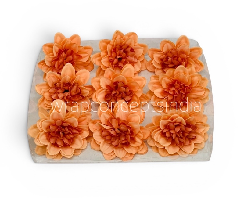 Burnt Peach Dahlia (20 pcs)