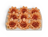 Burnt Peach Dahlia (20 pcs)