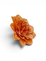 Burnt Peach Dahlia (20 pcs)