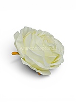 Soft Cream Rose Floral Heads