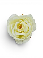 Soft Cream Rose Floral Heads