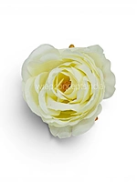 Soft Cream Rose Floral Heads