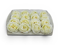 Soft Cream Rose Floral Heads