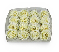 Soft Cream Rose Floral Heads