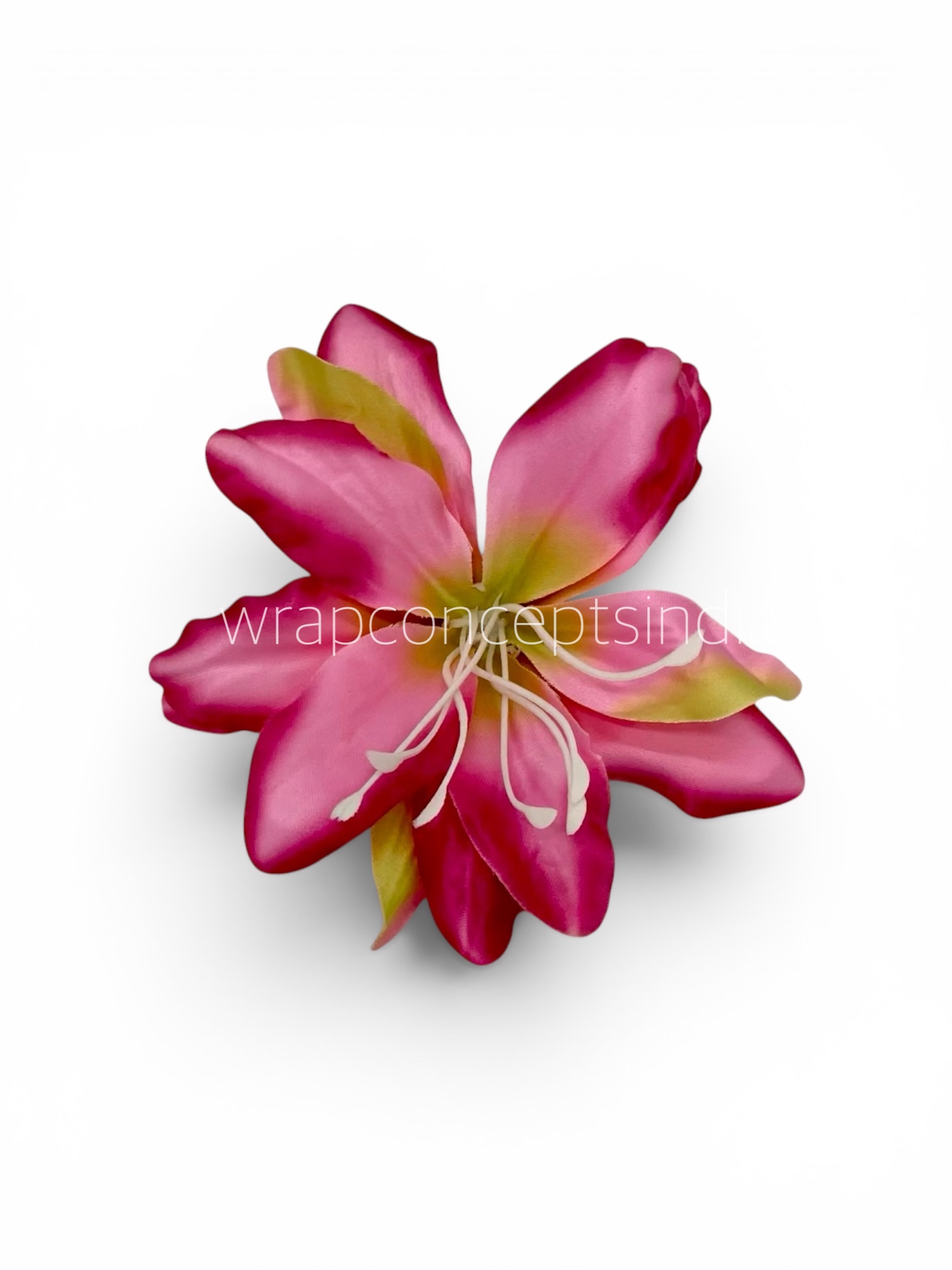 Hibiscus Pink Lily