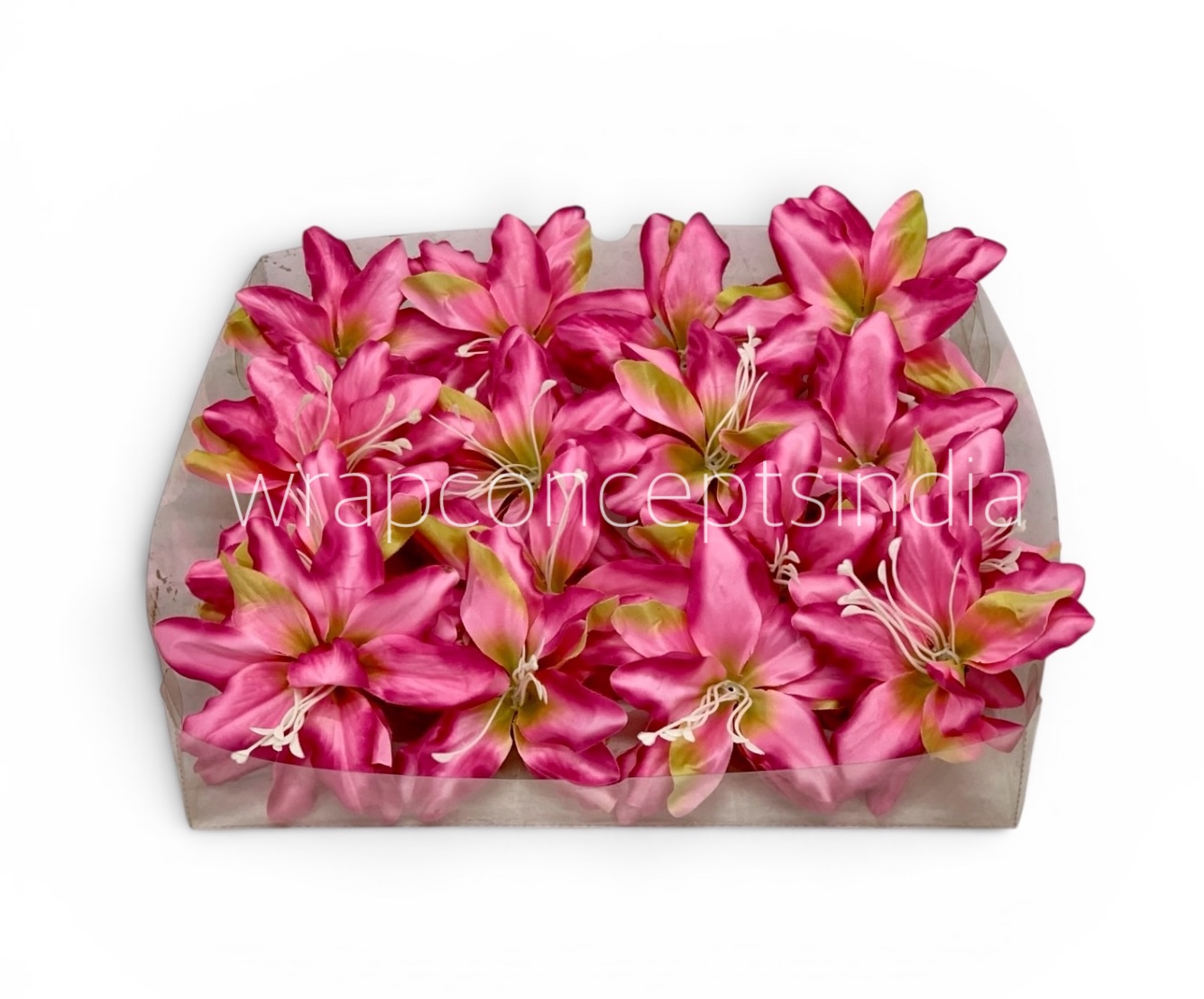 Hibiscus Pink Lily