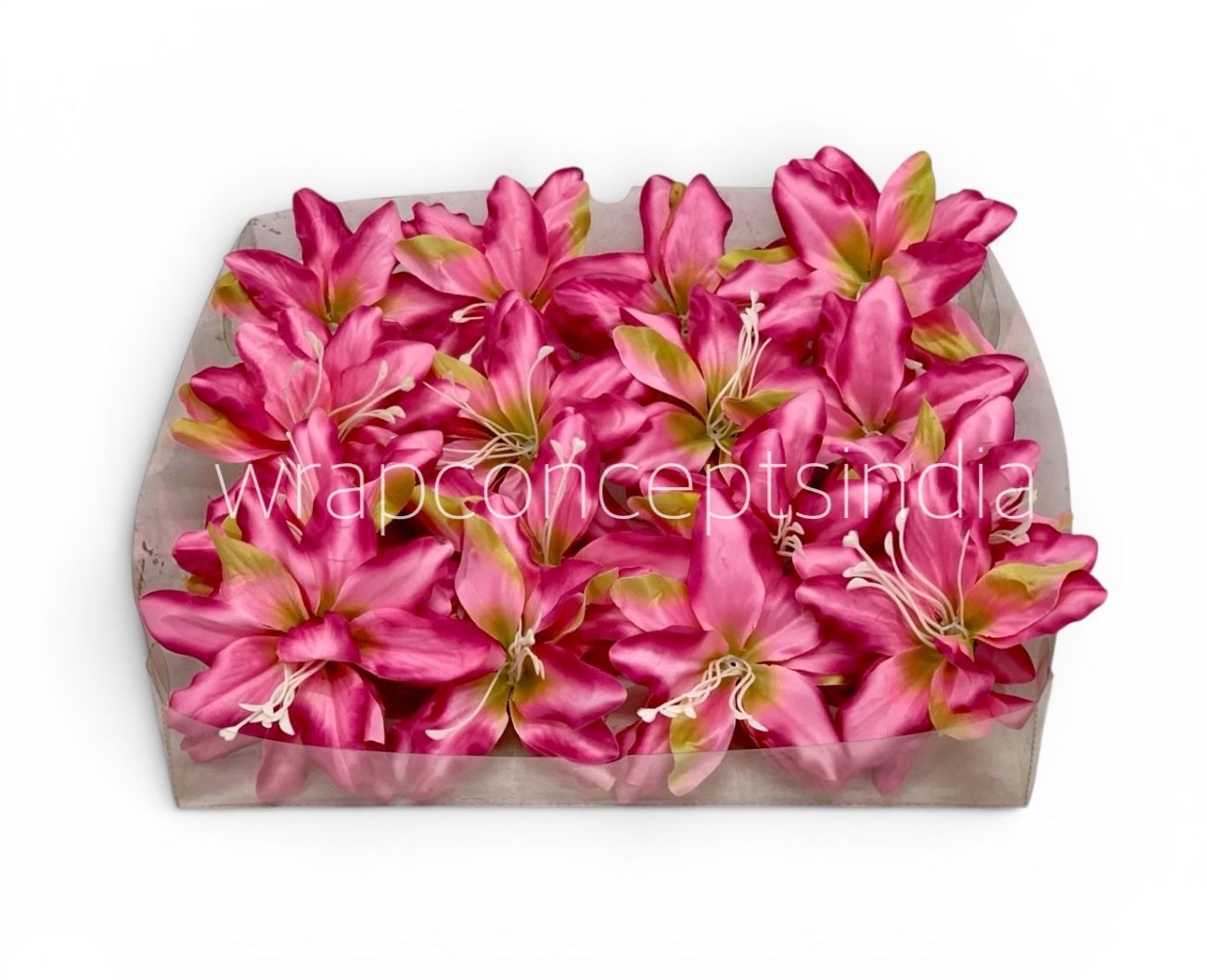Hibiscus Pink Lily