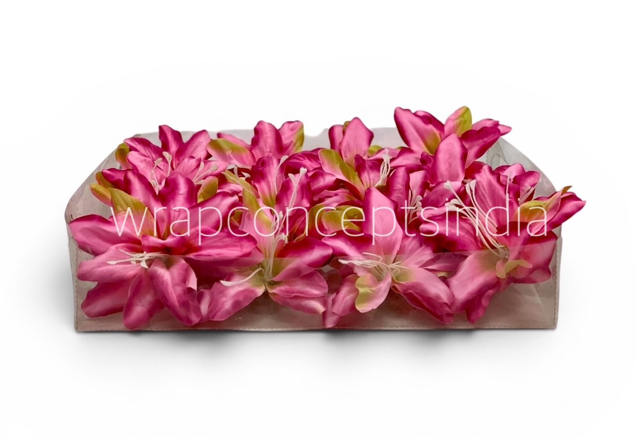 Hibiscus Pink Lily